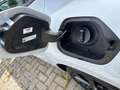 Opel Corsa Edition Turbo Komfort-Paket 8-Speichen-Alu Allwett Blanc - thumbnail 25