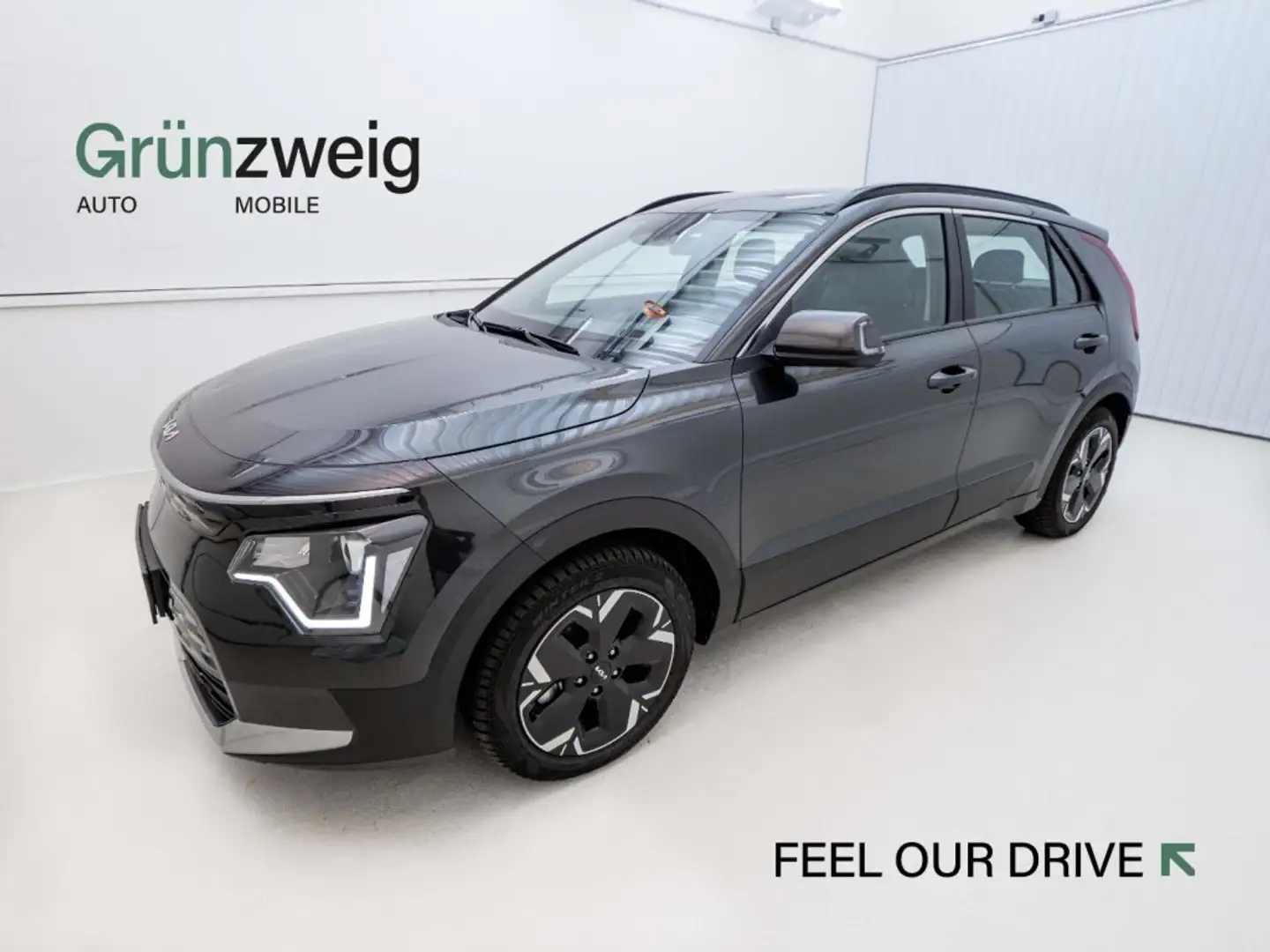 Kia Niro EV/GOLD/E-MOTOR/64,8KWH/AT/204/CR/SD Сірий - 1