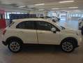 Fiat 500X 500X 1.6 MultiJet 120 CV Business Weiß - thumbnail 12