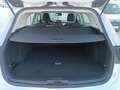 Ford Focus 1.5 Ecoblue Trend+ 120 Aut. - thumbnail 13