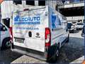 Fiat Ducato 33 2.2 Mjt 140CV MH1 PM-TS Furgone Bianco - thumbnail 4