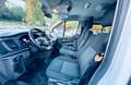 Ford Tourneo Custom Weiß - thumbnail 8