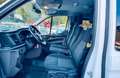 Ford Tourneo Custom Weiß - thumbnail 10