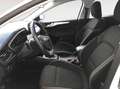 Ford Focus 1.5 Ecoblue Trend+ 120 Blanco - thumbnail 10
