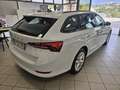 Skoda Octavia Octavia IV Wagon 2.0 tdi evo Executive 115cv dsg Blanc - thumbnail 4