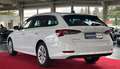 Skoda Octavia 2,0 TDI DSG STANDHZ HUD ACC AHK PANO RFK Weiß - thumbnail 7