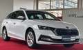 Skoda Octavia 2,0 TDI DSG STANDHZ HUD ACC AHK PANO RFK Weiß - thumbnail 1