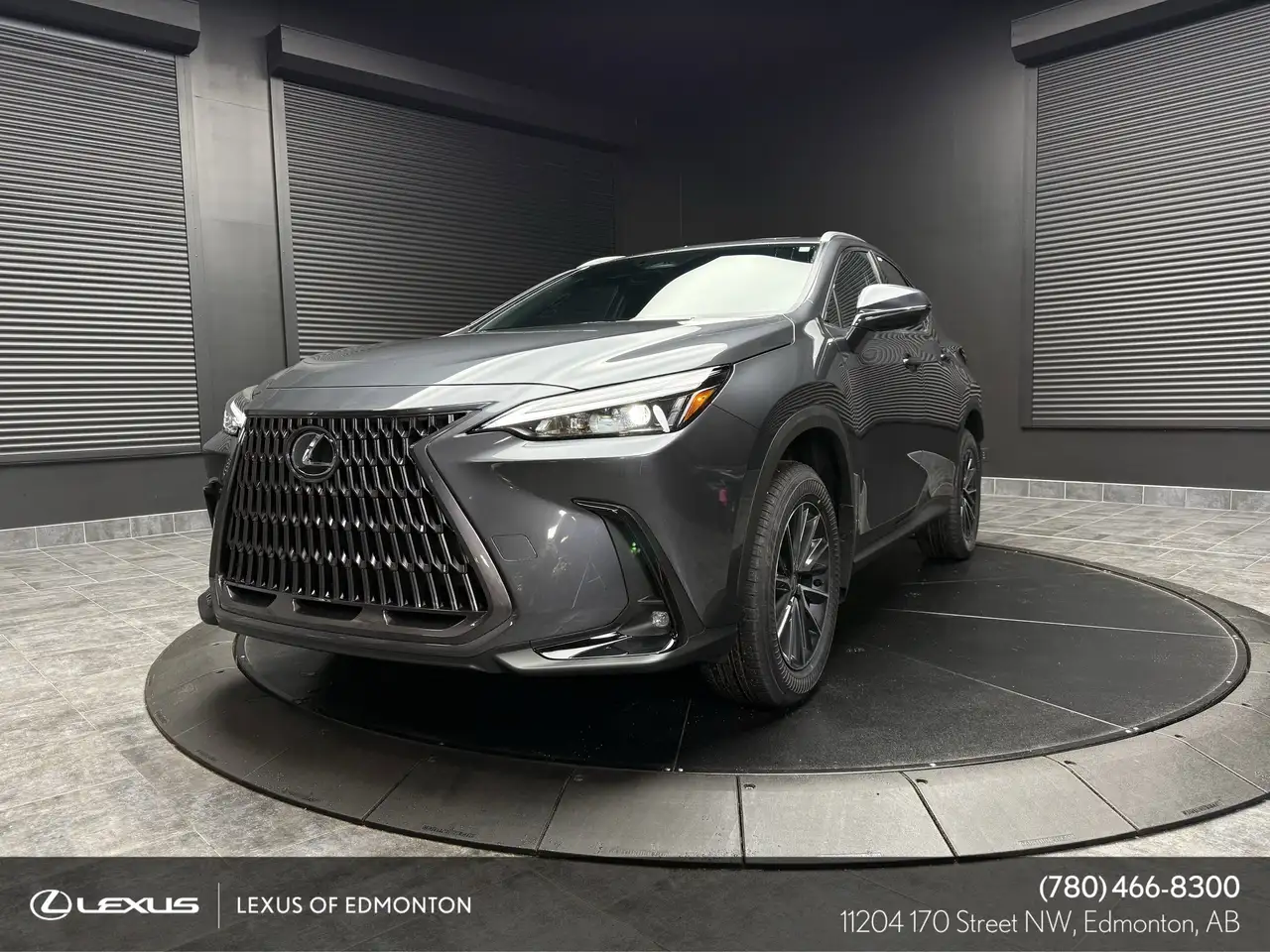 2026 Lexus NX photo 2026 Lexus NX