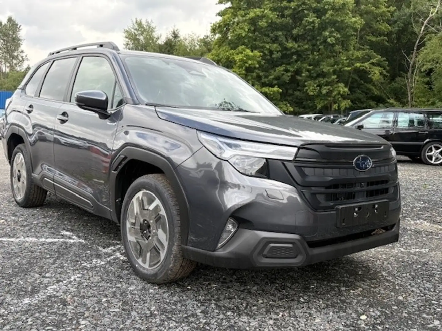 Subaru Forester Active 2.0ie SITZHEIZUNG DAB LED 18''LM Серый - 2