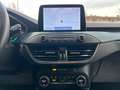 Ford Focus 2.0 EcoBlue 150 CV automatico SW Active V Co-Pilot Grigio - thumbnail 9