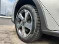 Ford Focus 2.0 EcoBlue 150 CV automatico SW Active V Co-Pilot Grigio - thumbnail 17