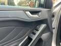 Ford Focus 2.0 EcoBlue 150 CV automatico SW Active V Co-Pilot Grigio - thumbnail 7