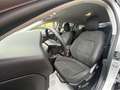 Ford Focus 2.0 EcoBlue 150 CV automatico SW Active V Co-Pilot Grigio - thumbnail 12