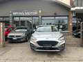 Ford Focus 2.0 EcoBlue 150 CV automatico SW Active V Co-Pilot Grigio - thumbnail 2