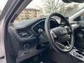 Ford Focus 2.0 EcoBlue 150 CV automatico SW Active V Co-Pilot Grigio - thumbnail 10