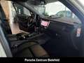 Porsche Macan Panorama Surround-View Rückfahrkamera LED Weiß - thumbnail 28