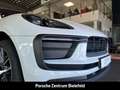 Porsche Macan Panorama Surround-View Rückfahrkamera LED Weiß - thumbnail 10