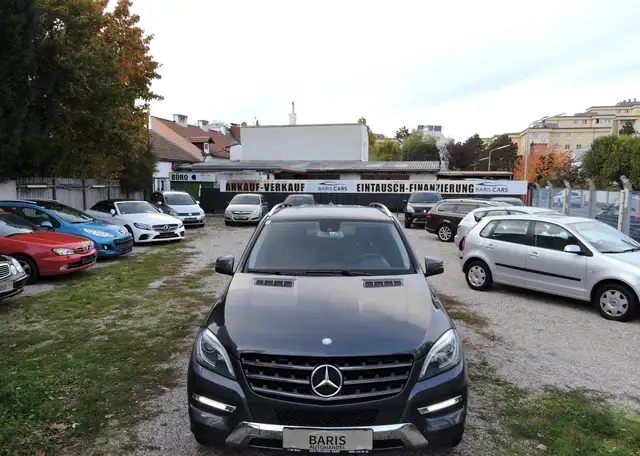 Mercedes-Benz ML 250 ML 250 CDI BlueTec (166.004)