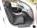 BMW 318 i Touring Advantage Auto Aut. Klimaaut. PDC Weiß - thumbnail 4
