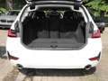 BMW 318 i Touring Advantage Auto Aut. Klimaaut. PDC Weiß - thumbnail 11
