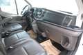 Ford Transit Pritsche DoKa L4/€ 17.900,-netto/KLIMA TEMP AHK Weiß - thumbnail 10