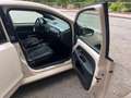 SEAT Mii 1.0 75cv  by Mango Beigle Glam Auto Blanco - thumbnail 13