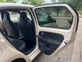 SEAT Mii 1.0 75cv  by Mango Beigle Glam Auto Blanco - thumbnail 16