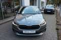 Skoda Fabia Tour 1.0 TSI LED,Navi,PDC,BT,GRA,SHZ,Kamer Grau - thumbnail 3