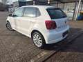 Volkswagen Polo V Life*Panoramadach*Tempo*Klimaauto.*SHZ* Weiß - thumbnail 5