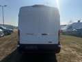 Ford Transit 2.0 Ecoblue EK 350 L3 Trend Weiß - thumbnail 6