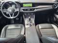Alfa Romeo Stelvio Stelvio 2.2 t Business Q4 210cv automatic/unipropr Rot - thumbnail 14