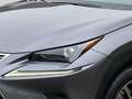 Lexus NX 300 h Executive Line AT ACC Navi LED Kamera PDC Leder Gris - thumbnail 7