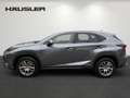Lexus NX 300 h Executive Line AT ACC Navi LED Kamera PDC Leder Gris - thumbnail 6