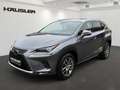 Lexus NX 300 h Executive Line AT ACC Navi LED Kamera PDC Leder Gris - thumbnail 1