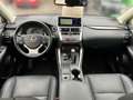 Lexus NX 300 h Executive Line AT ACC Navi LED Kamera PDC Leder Gris - thumbnail 12