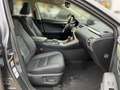 Lexus NX 300 h Executive Line AT ACC Navi LED Kamera PDC Leder Gris - thumbnail 16