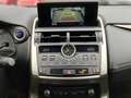 Lexus NX 300 h Executive Line AT ACC Navi LED Kamera PDC Leder Gris - thumbnail 14