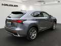 Lexus NX 300 h Executive Line AT ACC Navi LED Kamera PDC Leder Gris - thumbnail 4