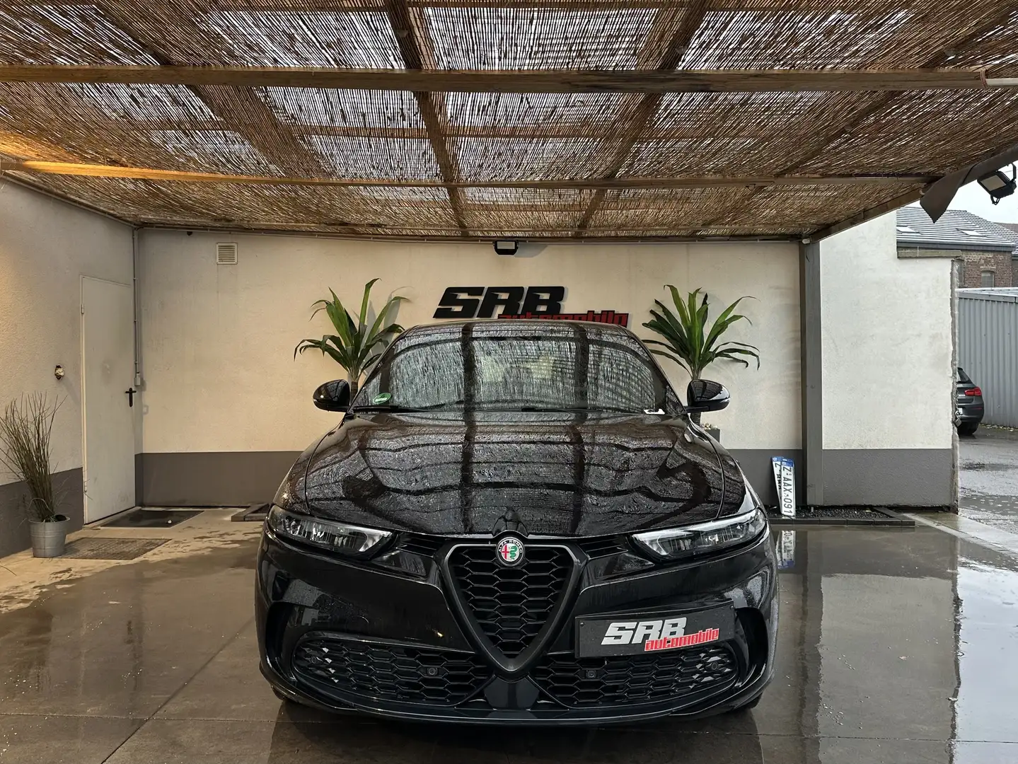 Alfa Romeo Tonale Alfa Romeo Tonale TVA déductible - 2