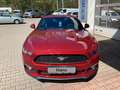 Ford Mustang Fastback *Premium-Paket* Czerwony - thumbnail 2