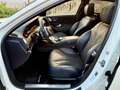 Mercedes-Benz S 560 4Matic L, First Class Fond/AMG/Burmester! Weiß - thumbnail 12