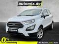 Ford EcoSport Trend,SHZ,Winterp. Weiß - thumbnail 1
