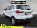 Ford EcoSport Trend,SHZ,Winterp. Weiß - thumbnail 2