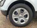 Ford EcoSport Trend,SHZ,Winterp. Weiß - thumbnail 14