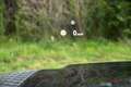 Land Rover Defender Defender 110 D300 X - thumbnail 44