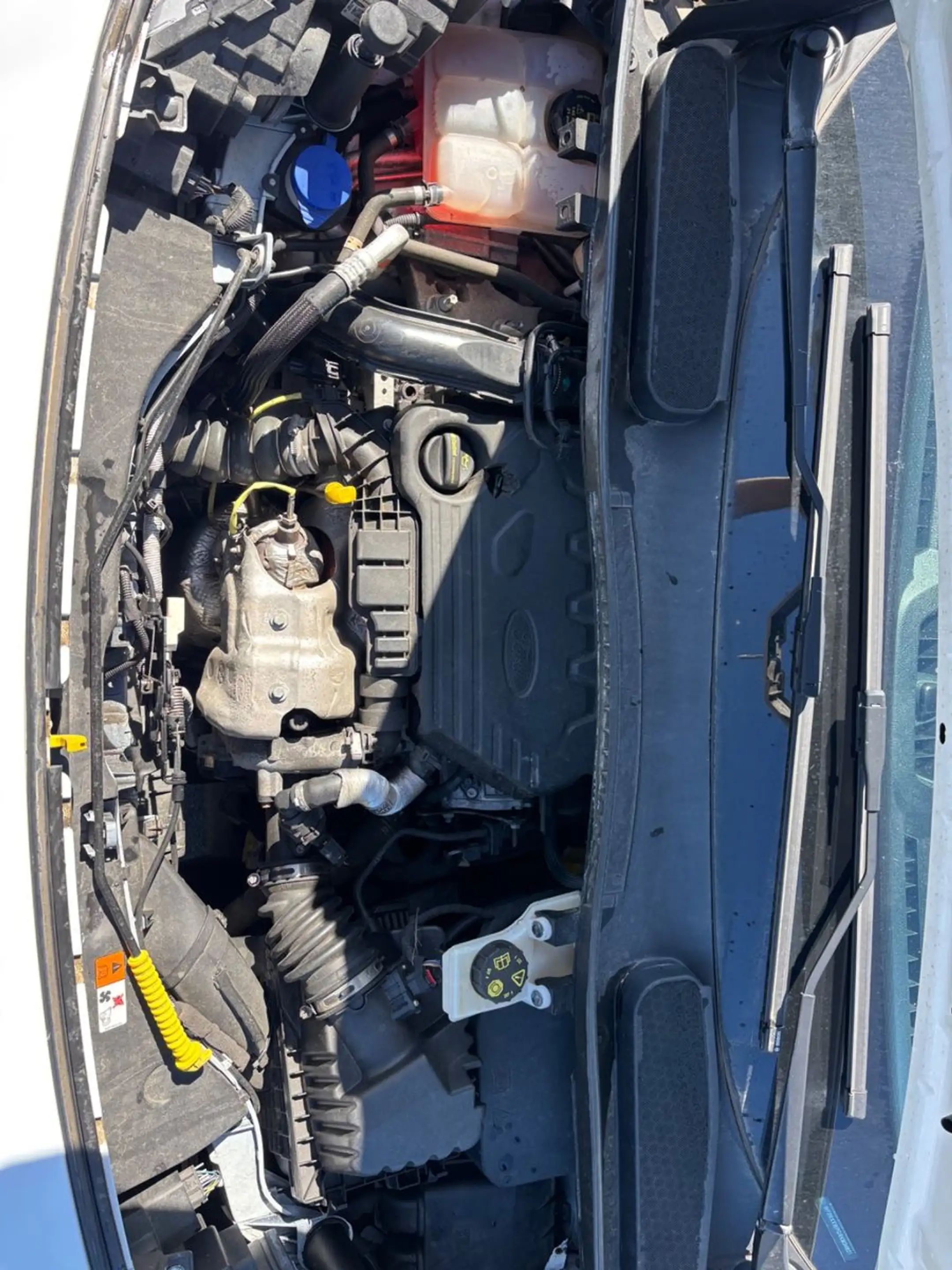 Ford Transit Connect 1.5 TDCI Kasten Trend — photo 11