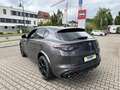 Alfa Romeo Stelvio Stelvio Quadrifoglio Q4 2.9 V6 Bi-Turbo Grau - thumbnail 6