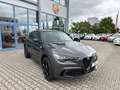 Alfa Romeo Stelvio Stelvio Quadrifoglio Q4 2.9 V6 Bi-Turbo Grau - thumbnail 2