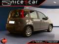 Fiat Panda Panda 1.0 FireFly S&S Hybrid *PROMO* Gris - thumbnail 4