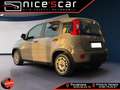 Fiat Panda Panda 1.0 FireFly S&S Hybrid *PROMO* Gris - thumbnail 5